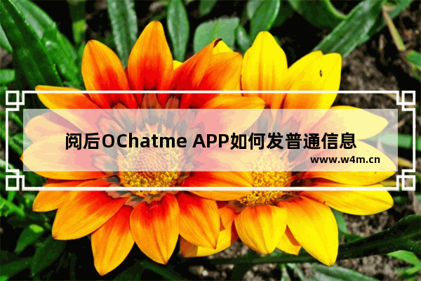 阅后OChatme APP如何发普通信息？发普通信息的方法说明