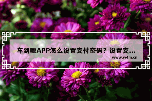 车到哪APP怎么设置支付密码？设置支付密码的方法说明