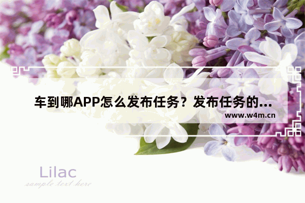 车到哪APP怎么发布任务？发布任务的操作方法说明