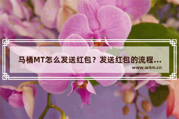 马桶MT怎么发送红包？发送红包的流程一览