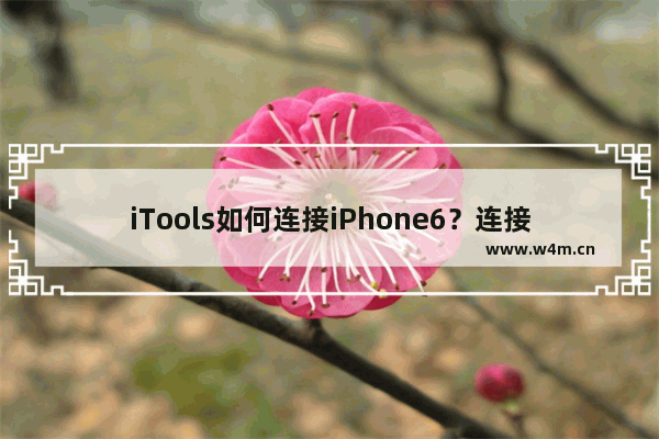 iTools如何连接iPhone6？连接iPhone6操作流程一览