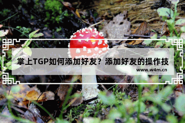 掌上TGP如何添加好友？添加好友的操作技巧分享