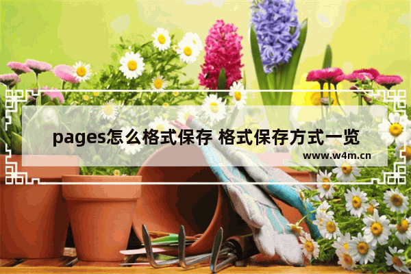 pages怎么格式保存 格式保存方式一览