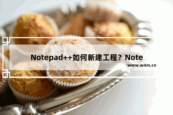 Notepad++如何新建工程？Notepad++新建工程操作流程分享