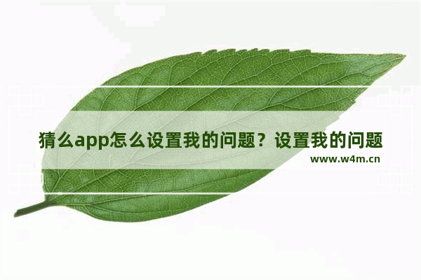 猜么app怎么设置我的问题？设置我的问题流程一览