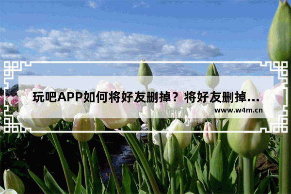 玩吧APP如何将好友删掉？将好友删掉的方法说明