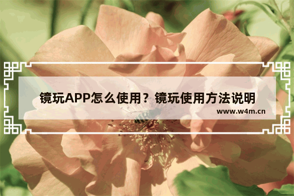 镜玩APP怎么使用？镜玩使用方法说明