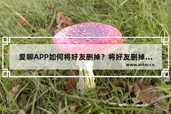 爱聊APP如何将好友删掉？将好友删掉的方法说明