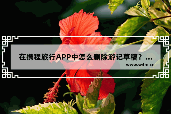 在携程旅行APP中怎么删除游记草稿？删除游记草稿的步骤分享