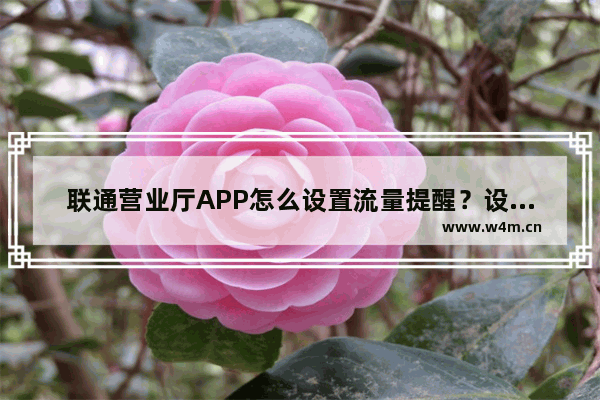 联通营业厅APP怎么设置流量提醒？设置流量提醒的方法讲解