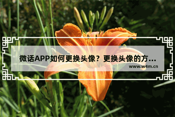 微话APP如何更换头像？更换头像的方法说明