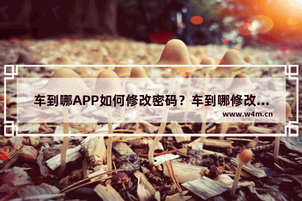 车到哪APP如何修改密码？车到哪修改密码的方法说明