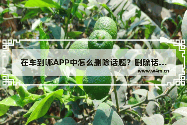 在车到哪APP中怎么删除话题？删除话题的操作方法讲解