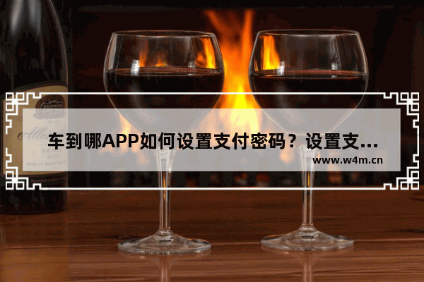 车到哪APP如何设置支付密码？设置支付密码的操作方法一览