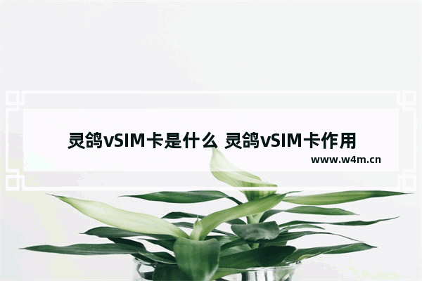 灵鸽vSIM卡是什么 灵鸽vSIM卡作用一览