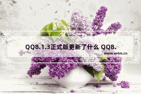 QQ8.1.3正式版更新了什么 QQ8.1.3正式版更新内容详解