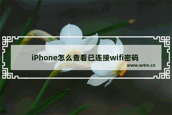 iPhone怎么查看已连接wifi密码 查看已连接wifi密码操作步骤分享