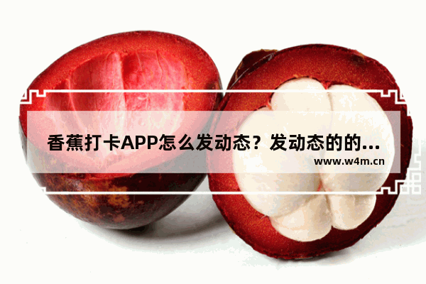 香蕉打卡APP怎么发动态？发动态的的操作技巧分享