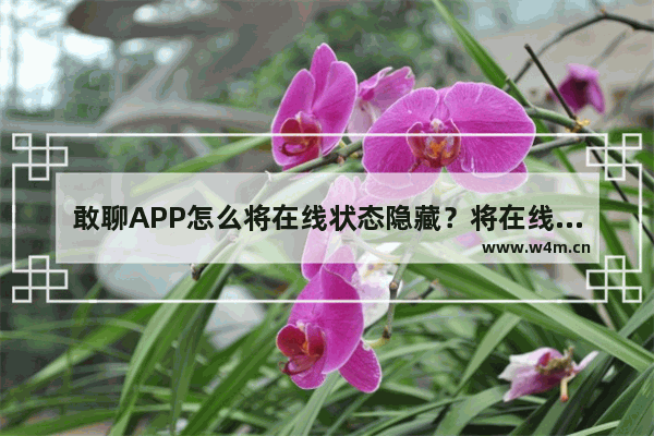 敢聊APP怎么将在线状态隐藏？将在线状态隐藏的方法说明