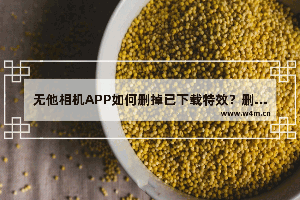 无他相机APP如何删掉已下载特效？删掉已下载特效的步骤分享