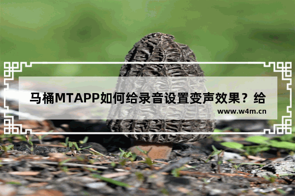 马桶MTAPP如何给录音设置变声效果？给录音设置变声效果的技巧分享