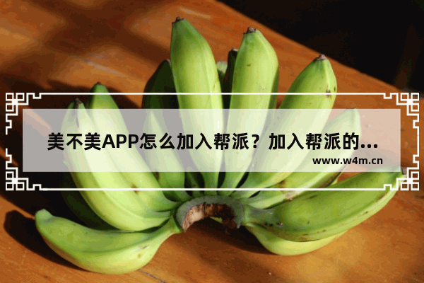 美不美APP怎么加入帮派？加入帮派的方法说明