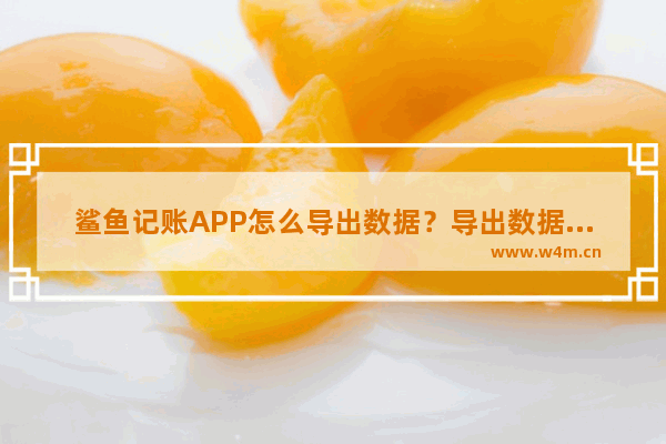 鲨鱼记账APP怎么导出数据？导出数据的操作方法说明