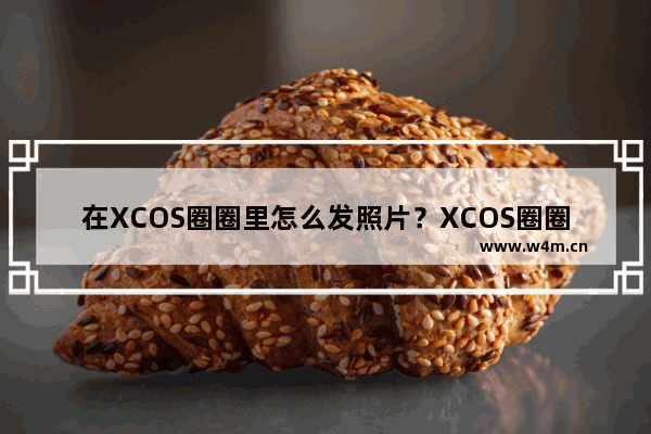 在XCOS圈圈里怎么发照片？XCOS圈圈里发照片步骤分享