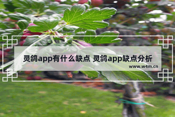 灵鸽app有什么缺点 灵鸽app缺点分析