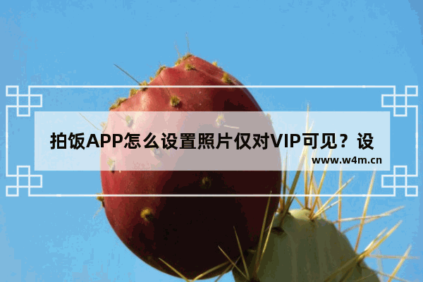 拍饭APP怎么设置照片仅对VIP可见？设置照片仅对VIP可见的方法介绍