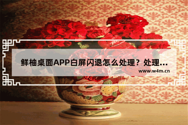 鲜柚桌面APP白屏闪退怎么处理？处理白屏闪退的方法介绍