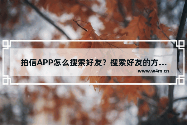 拍信APP怎么搜索好友？搜索好友的方法说明