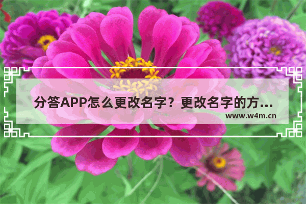 分答APP怎么更改名字？更改名字的方法说明