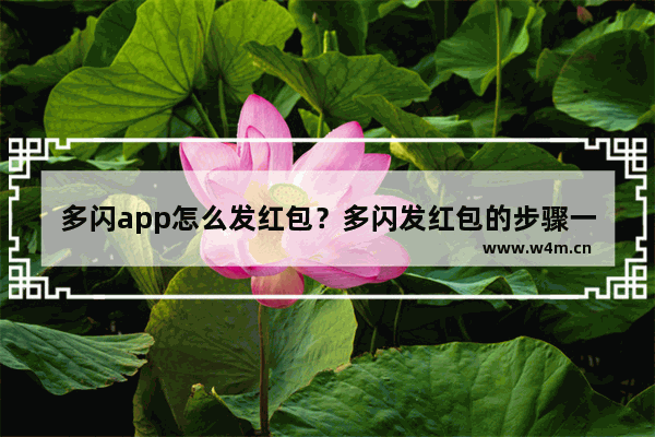 多闪app怎么发红包？多闪发红包的步骤一览