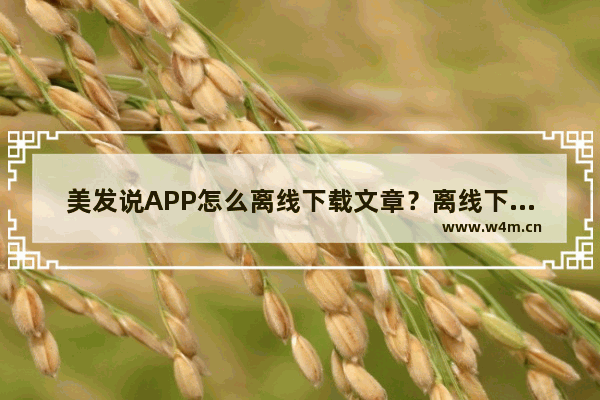 美发说APP怎么离线下载文章？离线下载文章的方法讲解