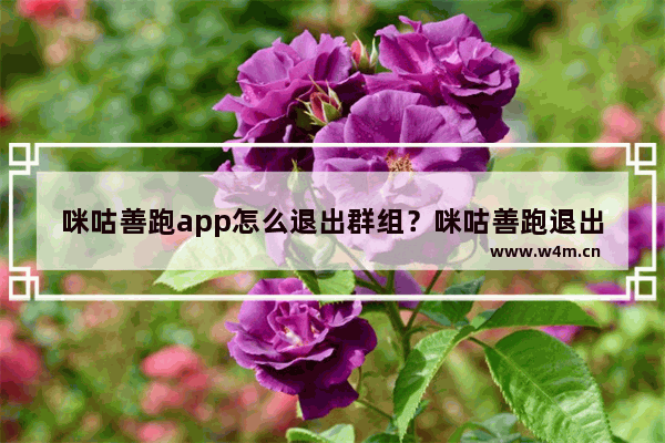 咪咕善跑app怎么退出群组？咪咕善跑退出群组的方法介绍