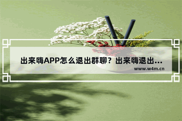 出来嗨APP怎么退出群聊？出来嗨退出群聊的方法说明