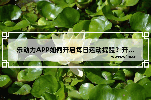 乐动力APP如何开启每日运动提醒？开启每日运动提醒的方法说明