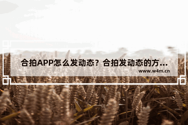 合拍APP怎么发动态？合拍发动态的方法说明