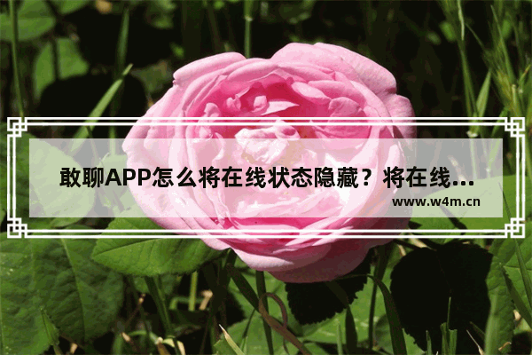 敢聊APP怎么将在线状态隐藏？将在线状态隐藏的技巧分享