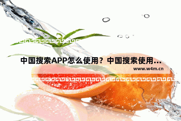 中国搜索APP怎么使用？中国搜索使用方法介绍