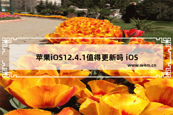 苹果iOS12.4.1值得更新吗 iOS12.4.1更新方法一览