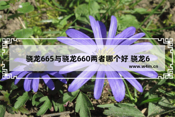 骁龙665与骁龙660两者哪个好 骁龙665与骁龙660处理器全面评测对比