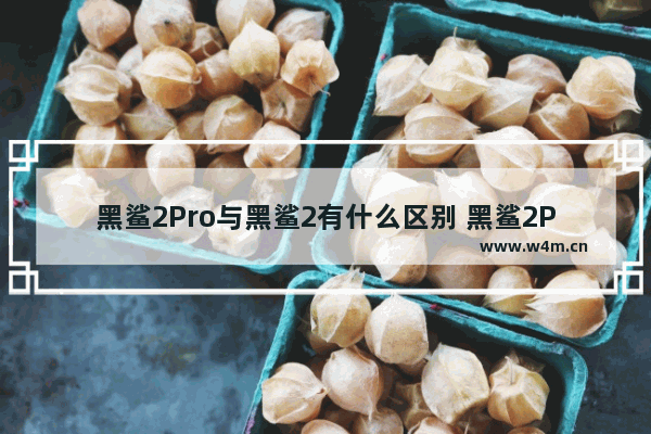 黑鲨2Pro与黑鲨2有什么区别 黑鲨2Pro与黑鲨2性能参数配置对比评测