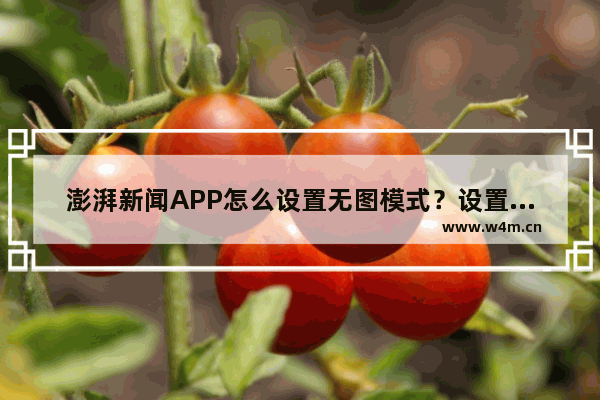 澎湃新闻APP怎么设置无图模式？设置无图模式的方法介绍