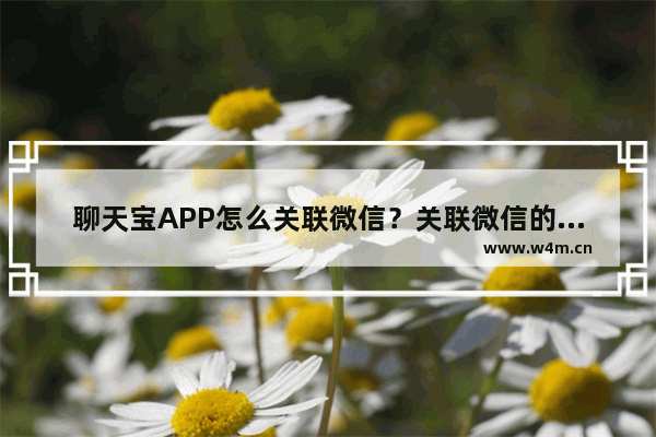 聊天宝APP怎么关联微信？关联微信的步骤分享