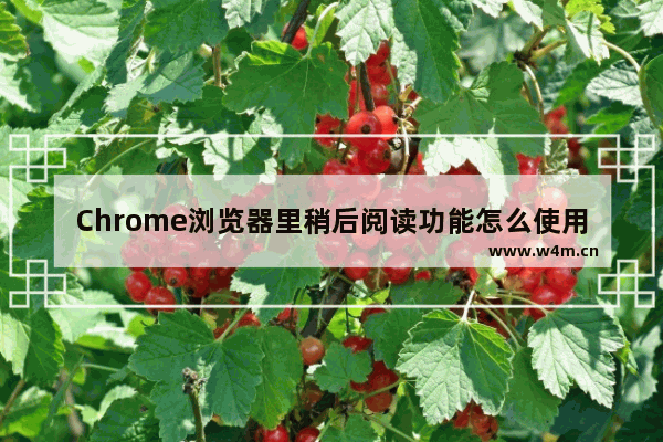 Chrome浏览器里稍后阅读功能怎么使用？稍后阅读功能使用方法介绍