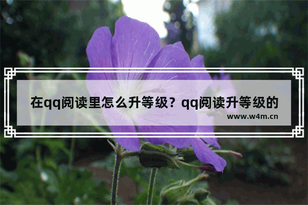 在qq阅读里怎么升等级？qq阅读升等级的方法一览