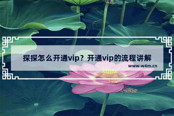 探探怎么开通vip？开通vip的流程讲解