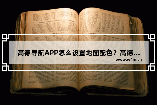 高德导航APP怎么设置地图配色？高德导航APP设置地图配色流程详解